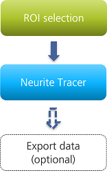 Flowchart: green box ROI selection -> blue box Neurite Tracer -> dashed box Export data (optional)