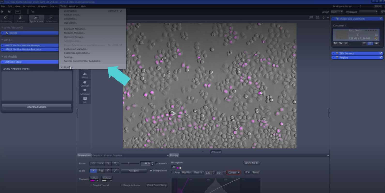 Software interface showing grayscale cells with magenta highlights, cyan arrows to API Key field, Download Models, model list