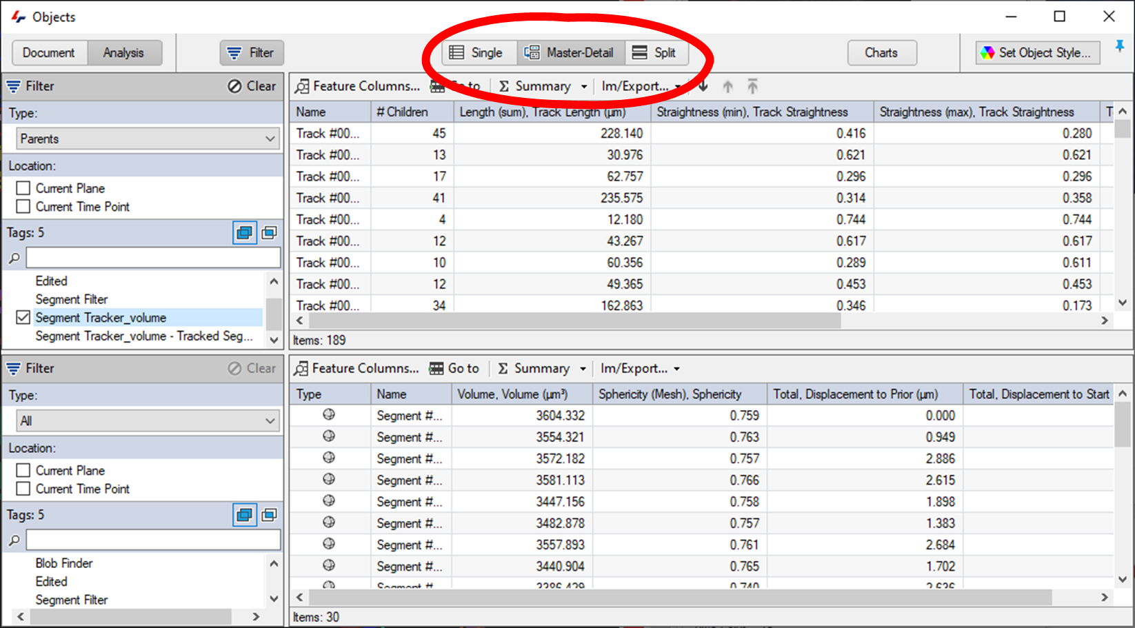 Application window showing Objects table, Filters panel, and circled Single Master-Detail Split buttons