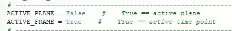 Code lines: ACTIVE_PLANE = False  # True == active plane; ACTIVE_FRAME = True  # True == active time point