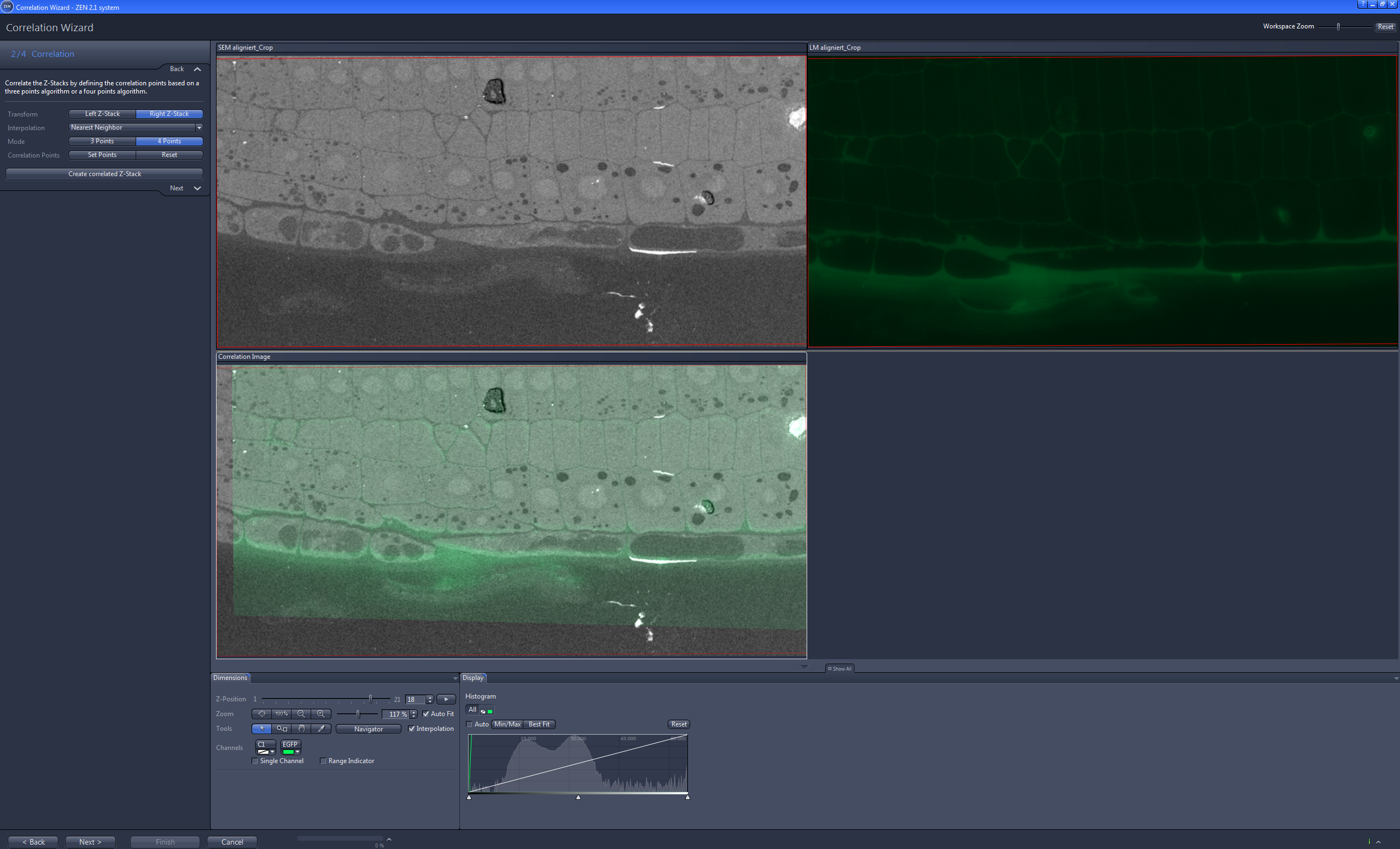 Correlation Wizard displaying SEM and LM images with combined Correlation Image overlay in the lower pane