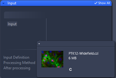 Dialog with Input panel and thumbnail popup labeled PTK12-Widefield.czi 6 MB with letter C