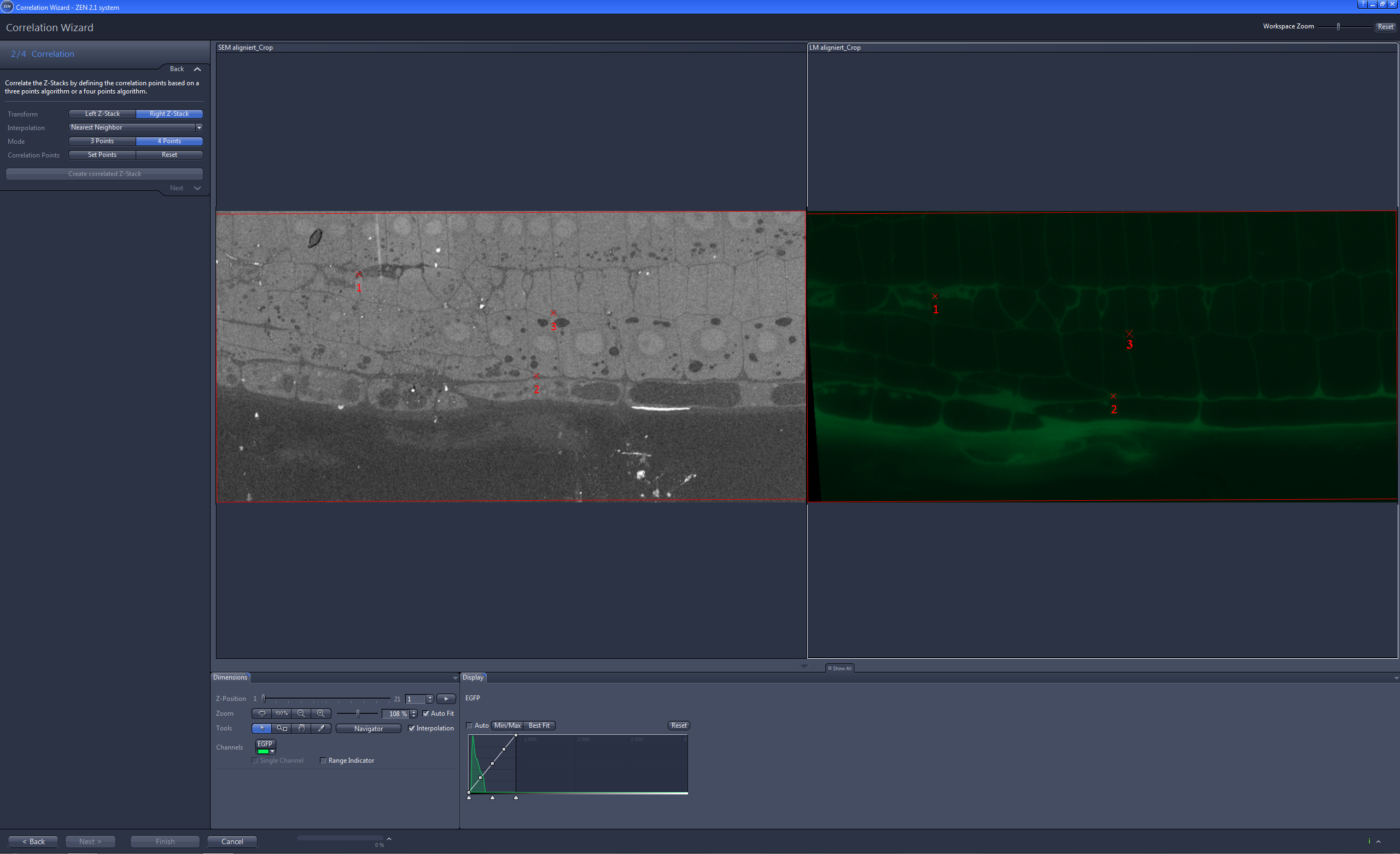 Correlation Wizard 2/4 Correlation screen with grayscale SEM left and green LM right marked with red points 1,2,3