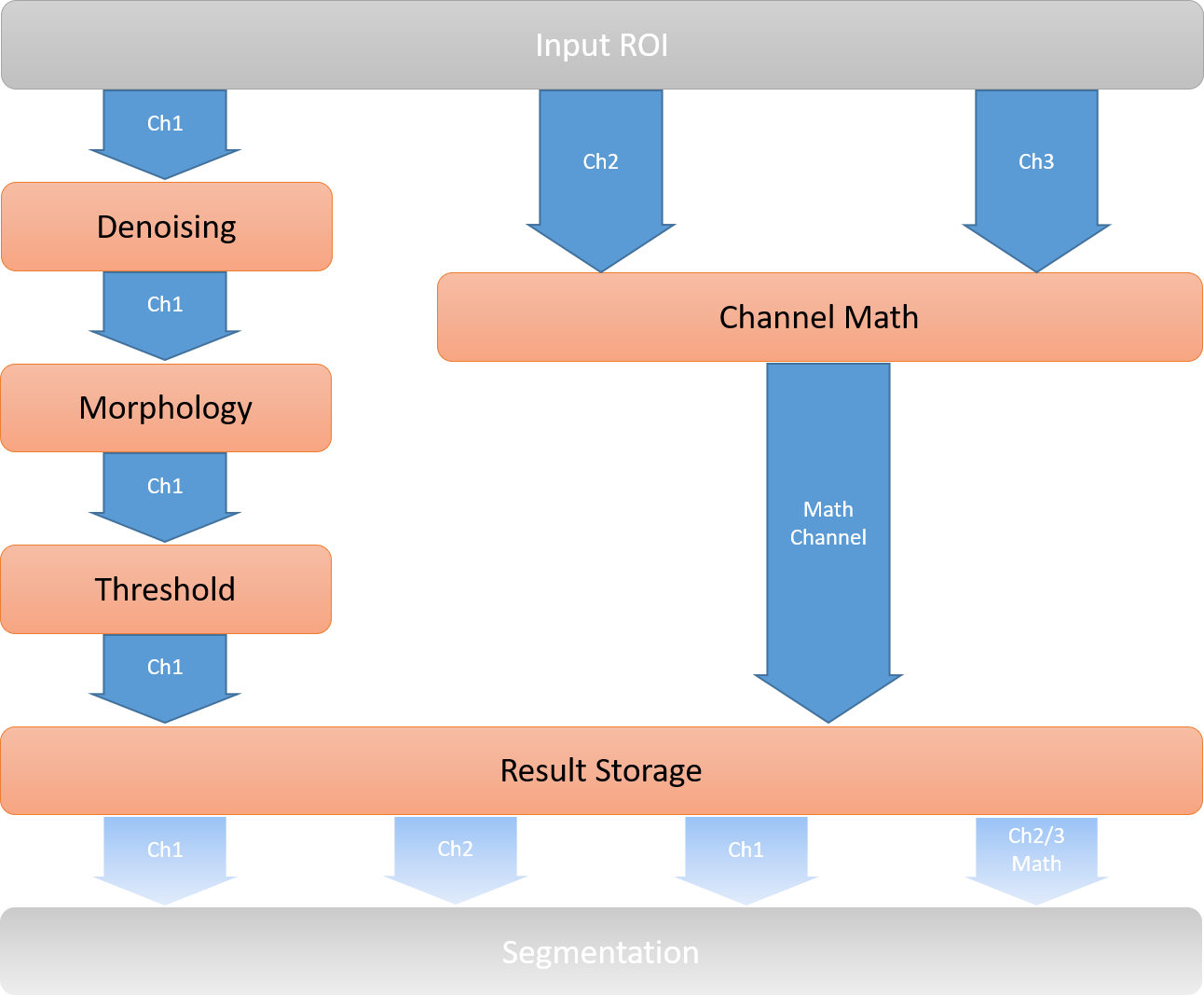 Input ROI: Ch1→Denoising→Morphology→Threshold→Result Storage; Ch2,Ch3→Channel Math→Result Storage→Segmentation