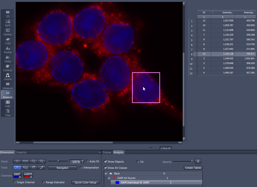 Microscopy image of blue DAPI-stained nuclei outlined in blue on red background, one nucleus boxed in pink and data table at right