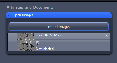 Intellesis Segmentation UI with central grayscale image, left Classes panel, right Open Images pane