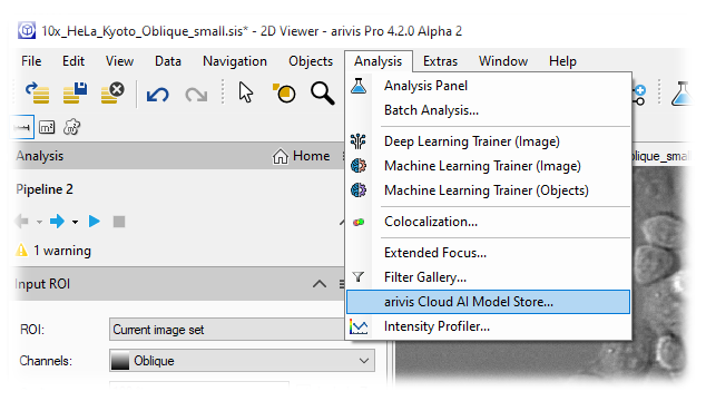 arivis Pro 4.2.0 Alpha 2 showing Analysis menu highlighting arivis Cloud AI Model Store and ROI 'Current image set'