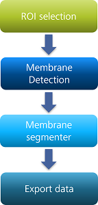 Flowchart: ROI selection → Membrane Detection → Membrane segmenter → Export data
