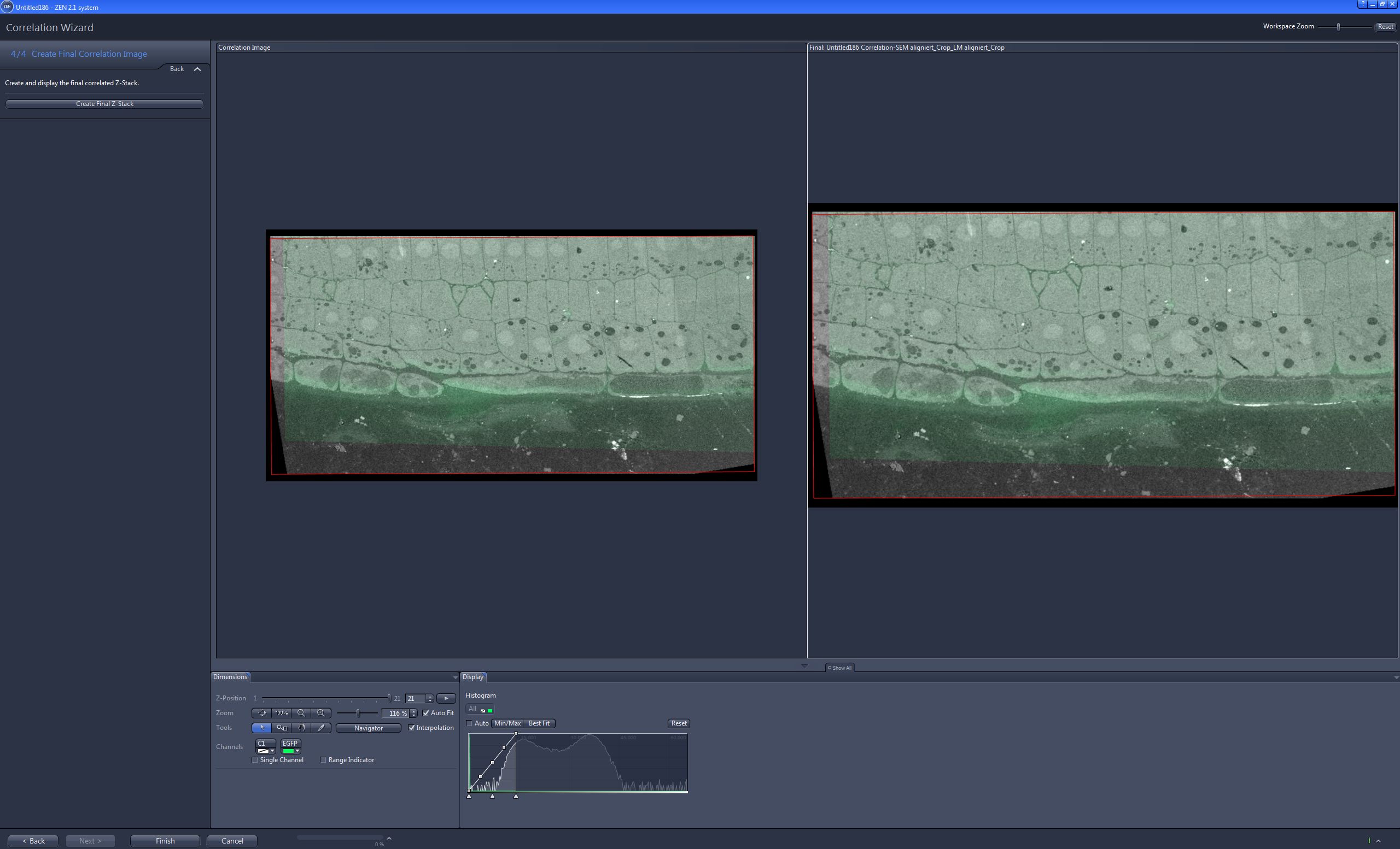 Software window titled Correlation Wizard showing two side-by-side green-tinted correlated images and UI panels