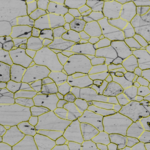 Grayscale micrograph of grains with yellow boundary overlays
