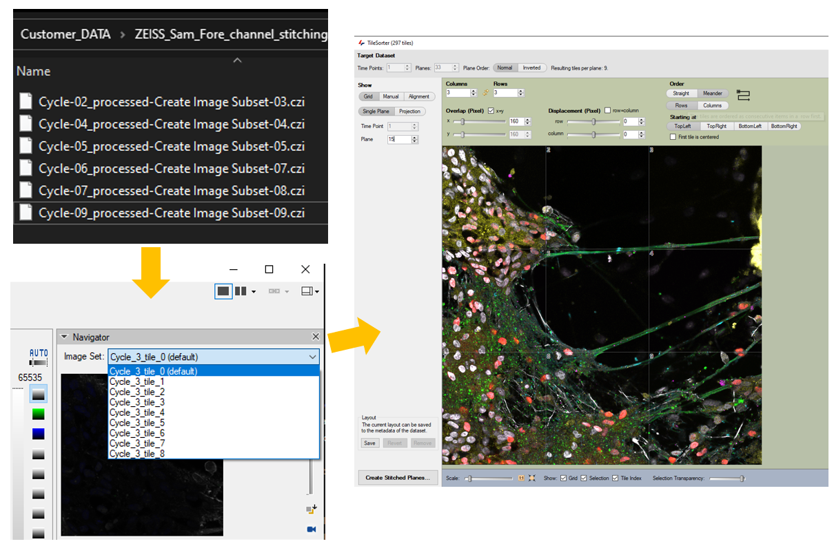 Screenshot: file list of Cycle-02 to Cycle-09 .czi, Navigator dropdown Cycle_3_tile_0, TileSorter mosaic of fluorescent image