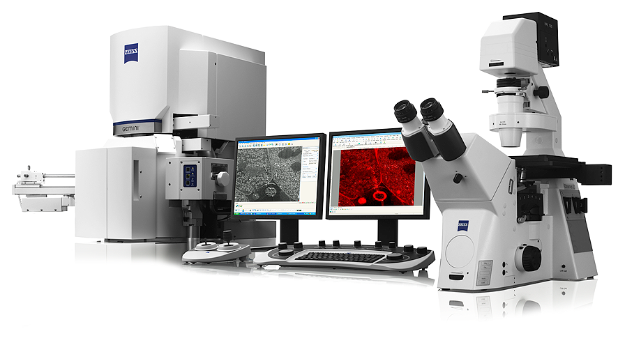 ZEISS correlative SEM and light microscope system with two monitors showing micrographs and keyboard