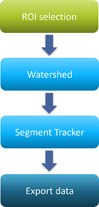 Vertical flowchart: 'ROI selection' → 'Watershed' → 'Segment Tracker' → 'Export data'