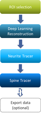 Flowchart: ROI selection → Deep Learning Reconstruction → Neurite Tracer → Spine Tracer → arrow to Export data (optional)