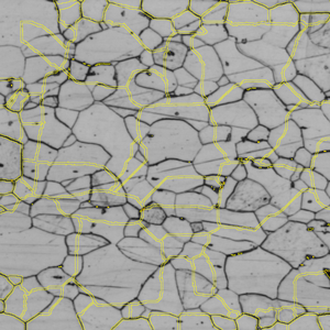 Grayscale micrograph of polygonal regions traced in yellow over a network of thin dark boundaries