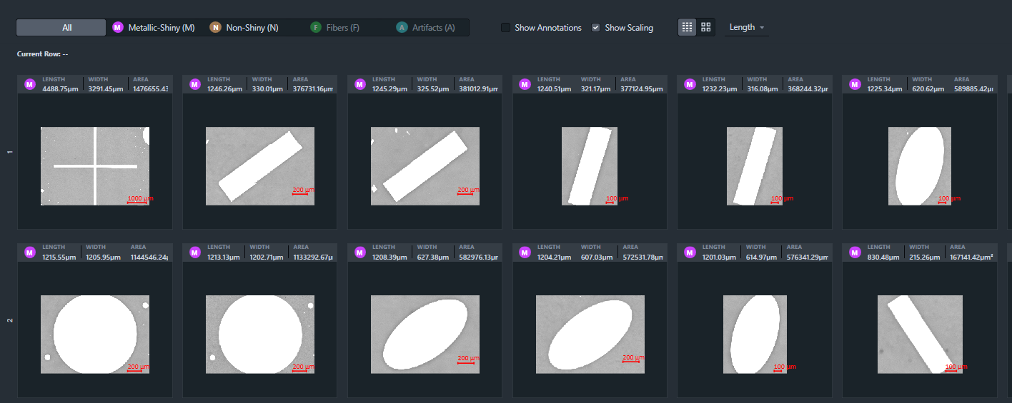 Particle gallery of a test slide analysis