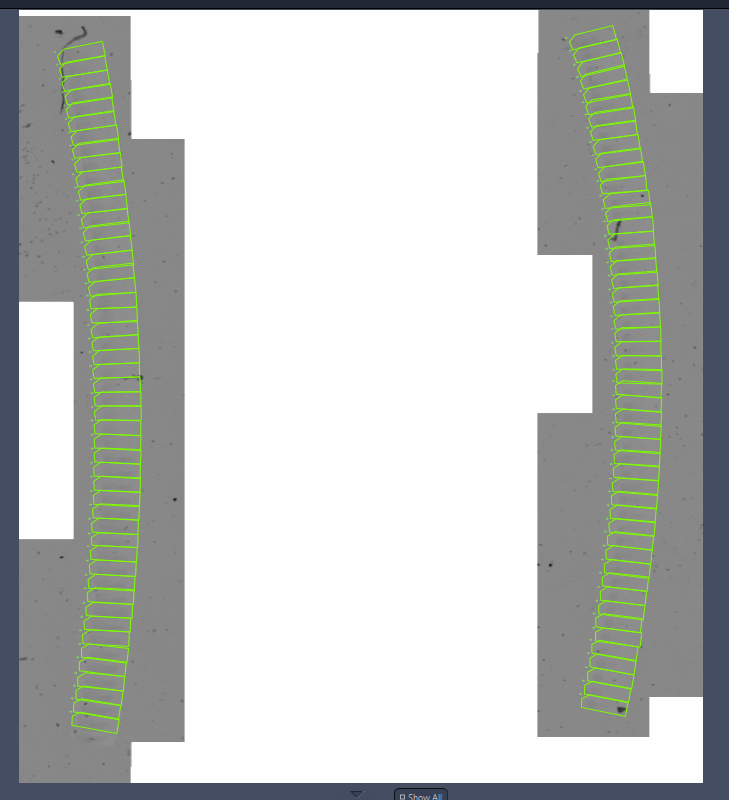 ZEN Acquisition Wizard 4/7 Section Specification with gray ribbon image overlaid by green section boxes and right-click menu