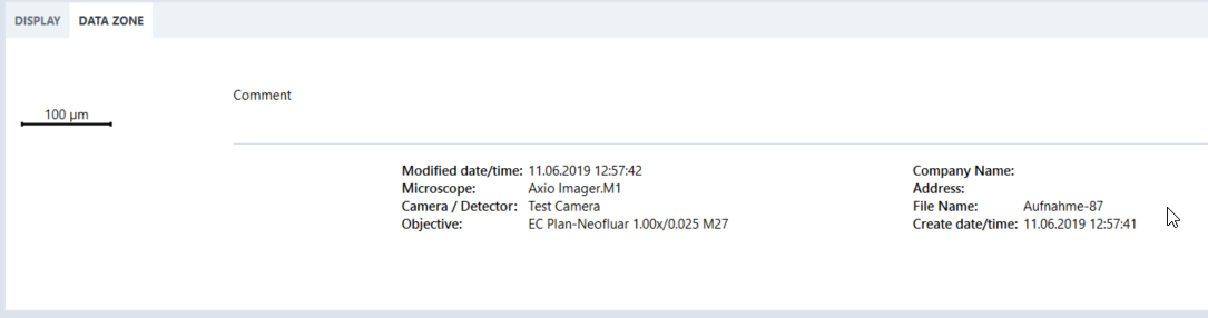 Data Zone preview with 100 µm scale bar and metadata showing Modified date/time, Microscope and Camera/Detector