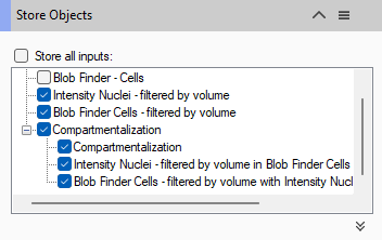 Store Objects dialog with checkboxes listing Blob Finder - Cells; Intensity Nuclei - filtered by volume; Compartmentalization