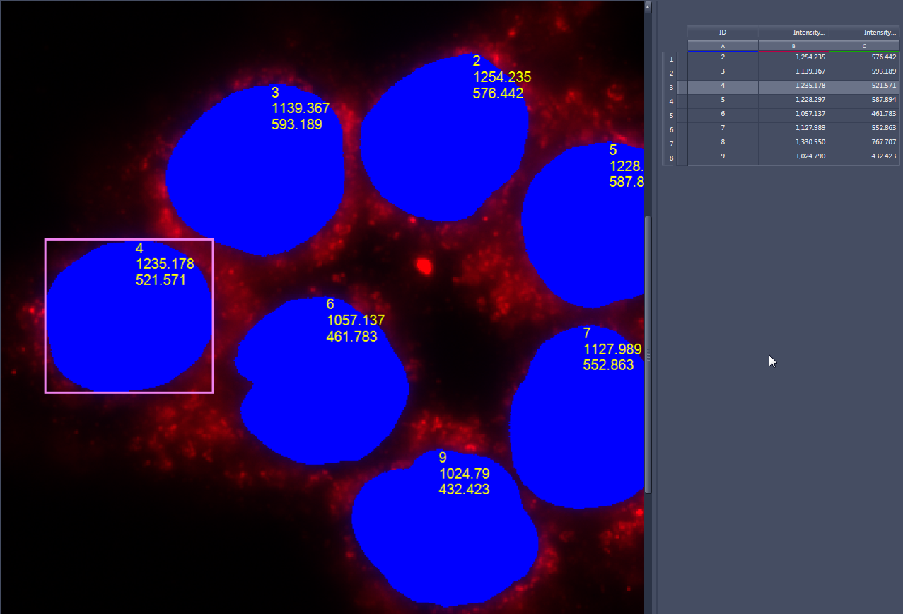 Blue nuclei labeled with yellow numbers over red fluorescence, pink box on nucleus 4, right-side data table