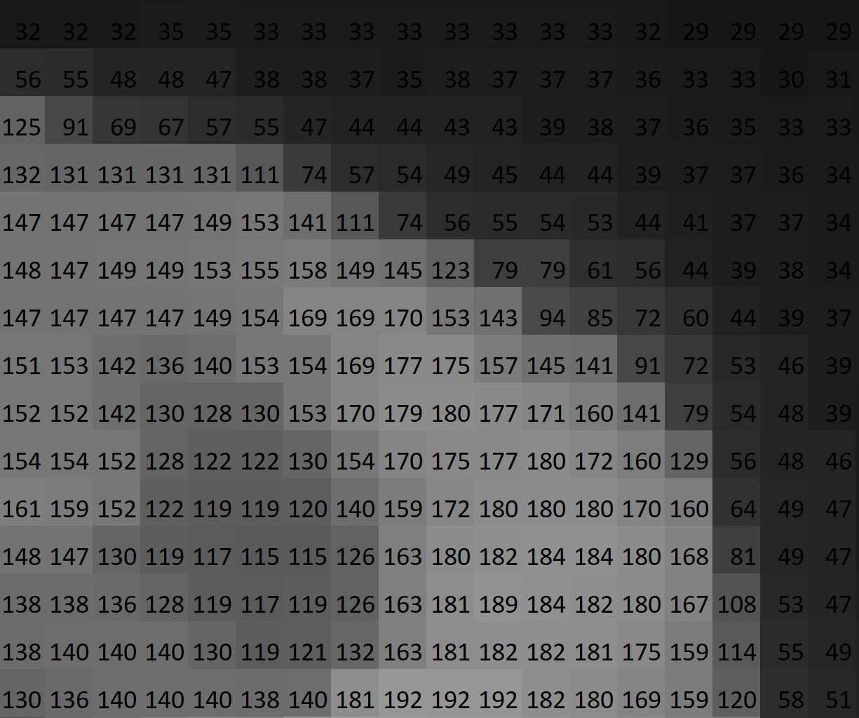 Grid of grayscale squares overlaid with numeric values (e.g., 32, 56, 125, 132, 147) forming a matrix.