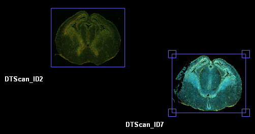 Two colored cross-sections with blue selection boxes labeled DTScan_ID2 and DTScan_ID7 on black background