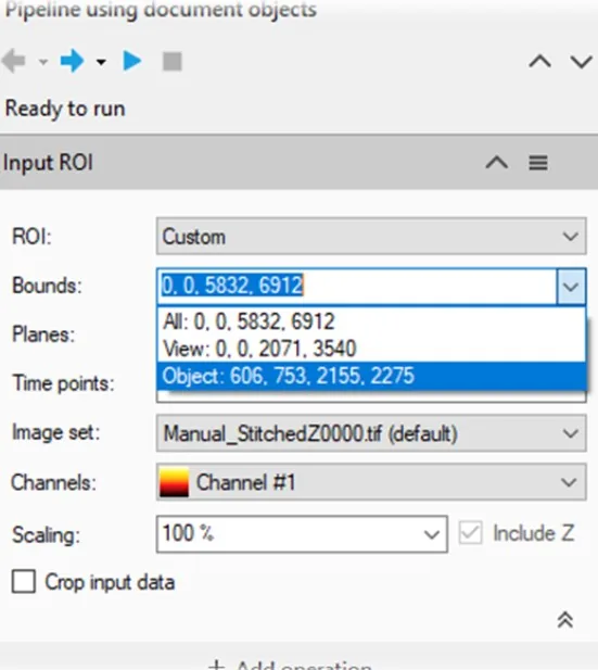Input ROI panel screenshot showing Bounds dropdown with selected Object and Image set Manual_StitchedZ0000.tif