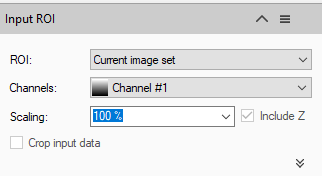 Input ROI panel: ROI Current image set; Channels Channel #1; Scaling 100% (Include Z checked); Crop input data unchecked