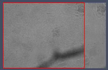 Grayscale microscope image of textured sample with red rectangular overlay and prominent dark diagonal shadow.