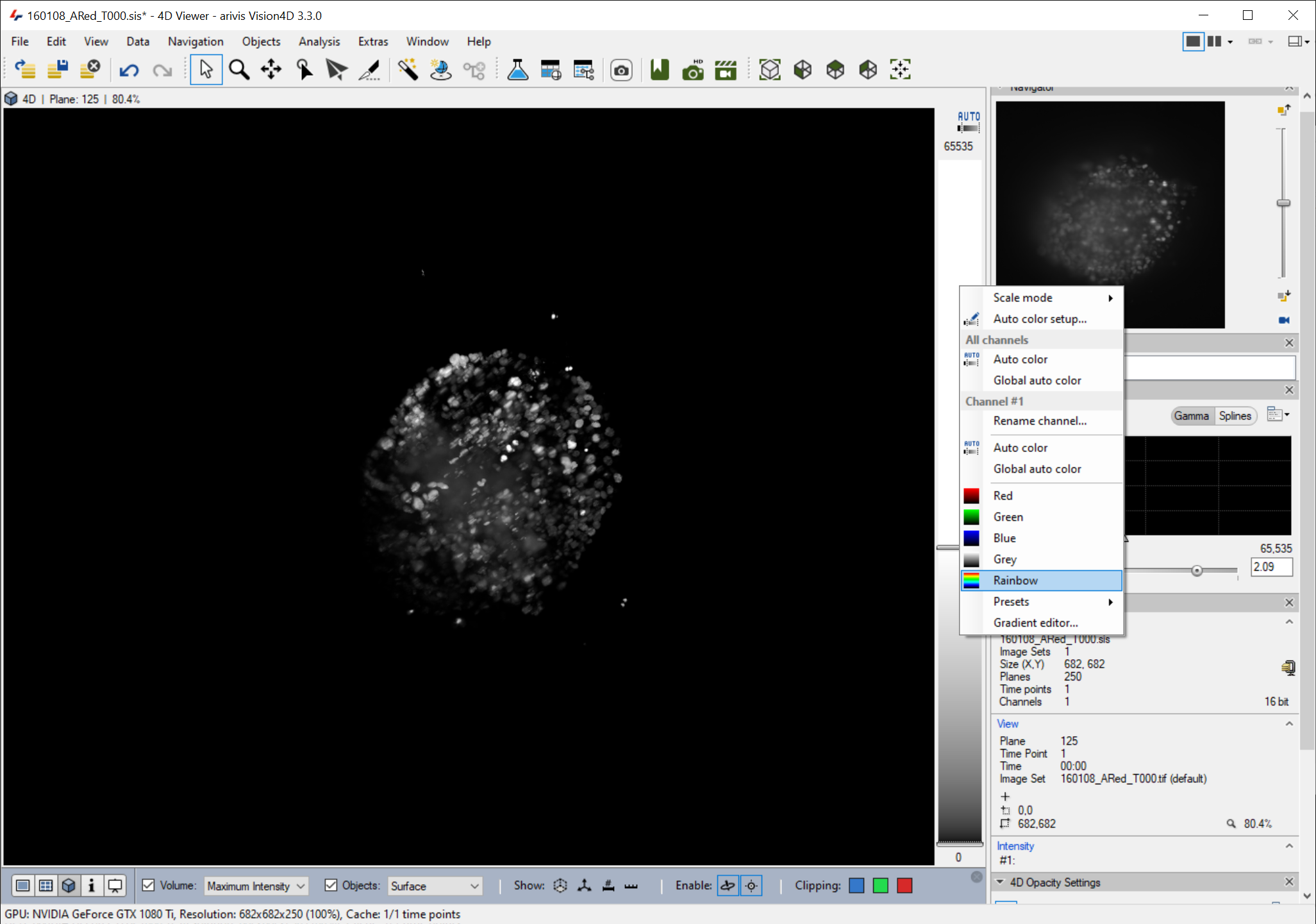 4D Viewer window showing a dark canvas with a round cluster of bright spots and a right-side menu with Rainbow selected