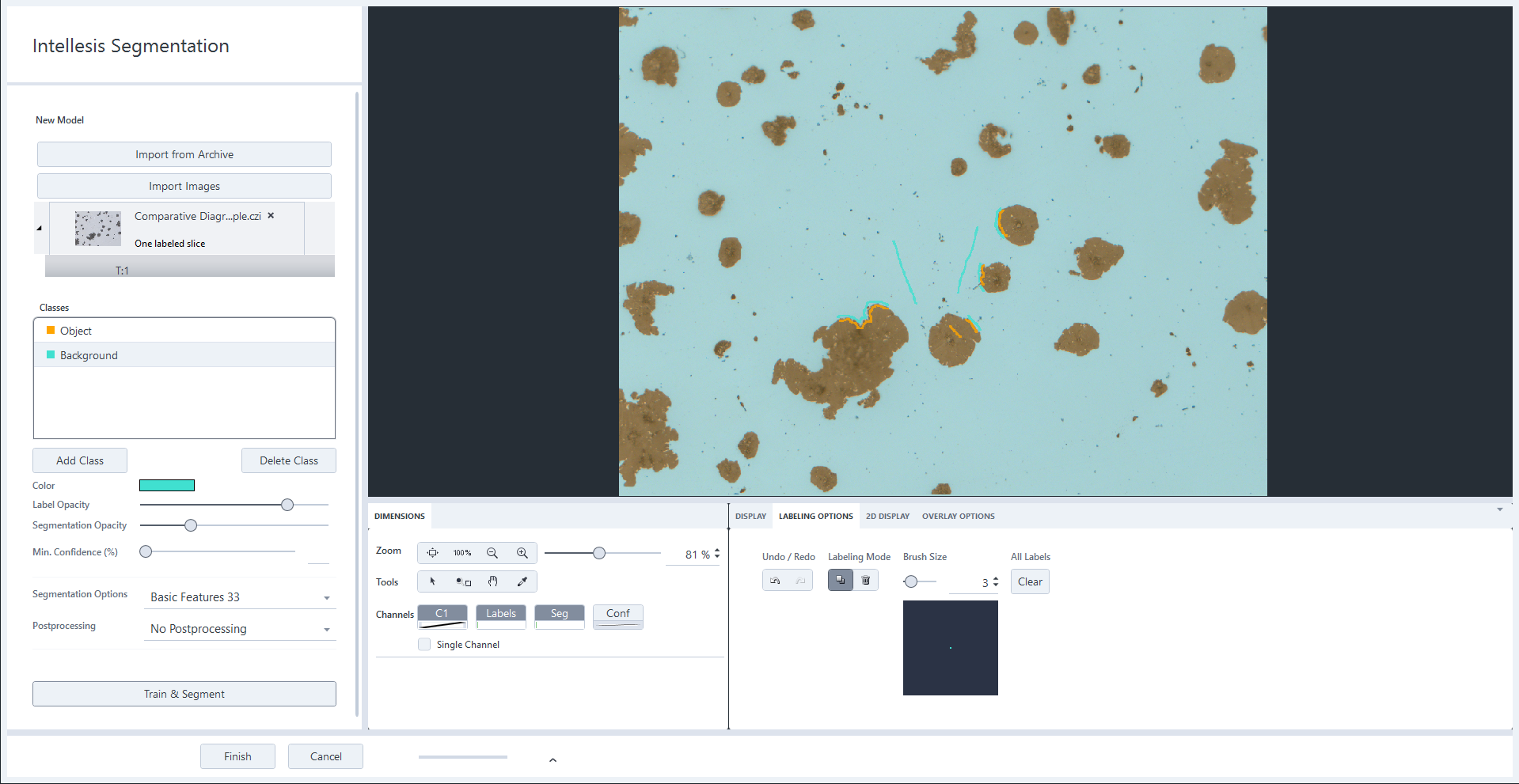 Intellesis Segmentation showing brown particles on blue background left panel listing classes Object and Background