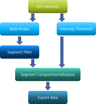 Flowchart: ROI selection → Blob Finder and Intensity Threshold → Segment Filter → Segment Compartmentalization → Export data
