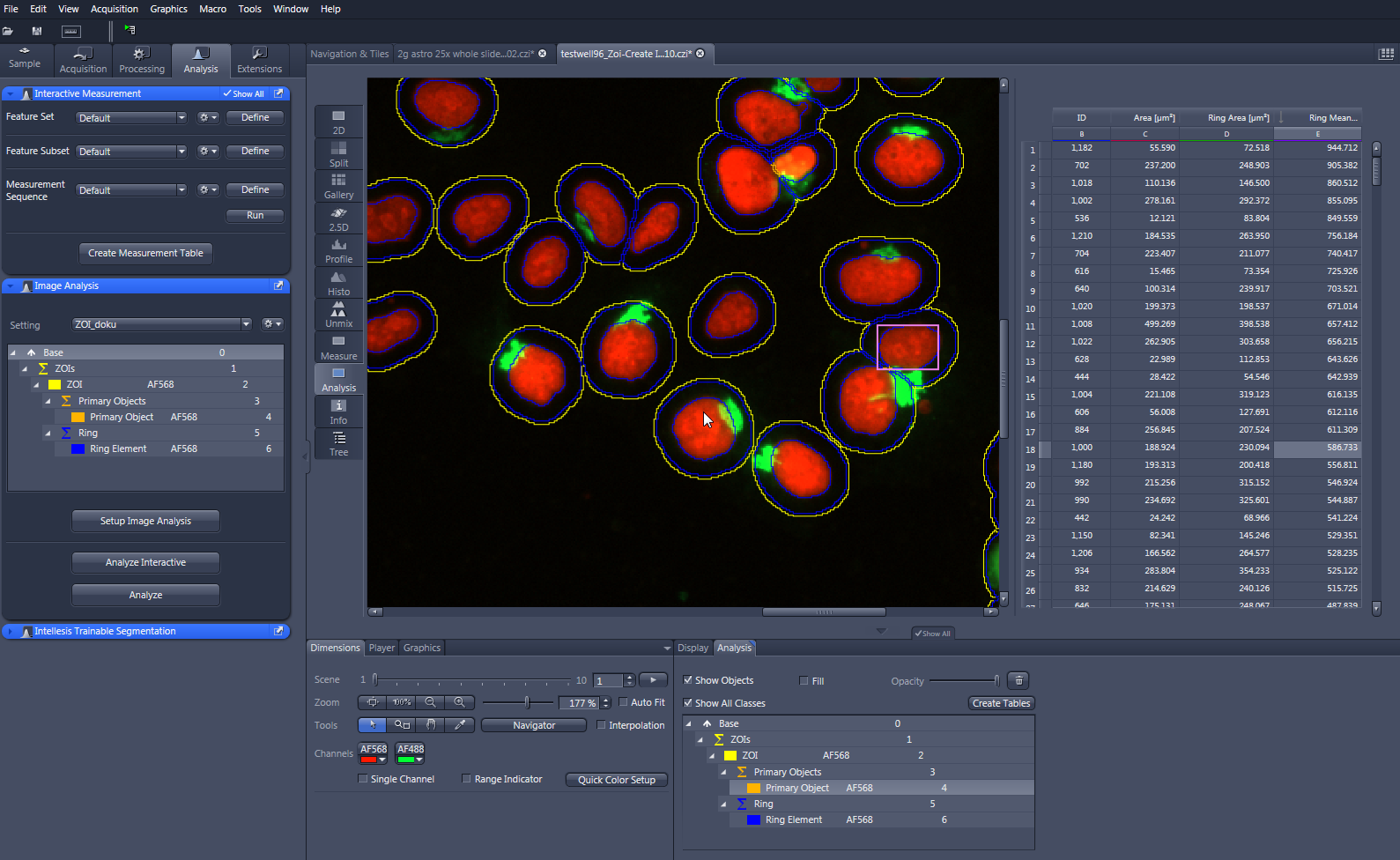 Microscopy image showing red circular objects outlined in blue and yellow with green patches; UI panels show AF568 and AF488
