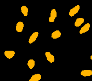 Black background with scattered solid orange irregular rounded blobs