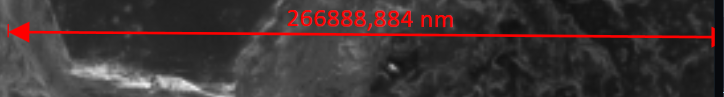 Red horizontal measurement arrow labeled 266888,884 nm over grayscale textured sample