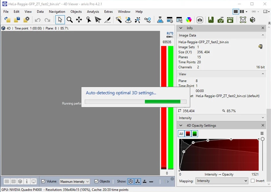 4D Viewer with 'Auto-detecting optimal 3D settings...' dialog and Image Data showing HeLa-Reggie-GFP_ZT_fast2_bin.sis