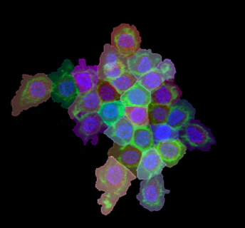 Result in the 2D Viewer