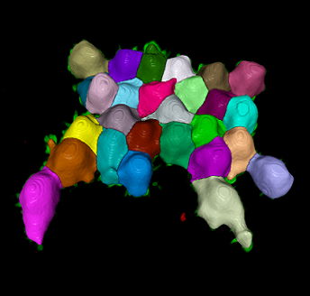 Result in the 4D Viewer