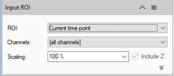 Input ROI panel: ROI 'Current time point', Channels '[all channels]', Scaling '100 %', checked 'Include Z'.
