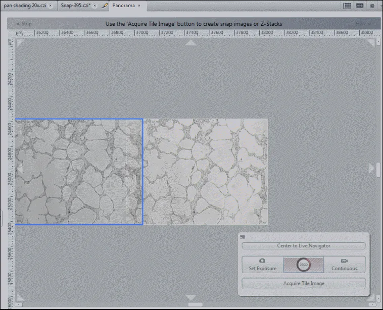 Panorama viewer showing two grayscale tiled images, a blue selection box, rulers, and header mentioning 'Acquire Tile Image'