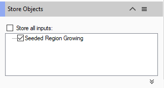 Dialog titled Store Objects with unchecked Store all inputs box and checked Seeded Region Growing option