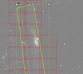 Gray microscopy overview with tilted yellow ribbon outline, red grid tiles and small yellow circular support points