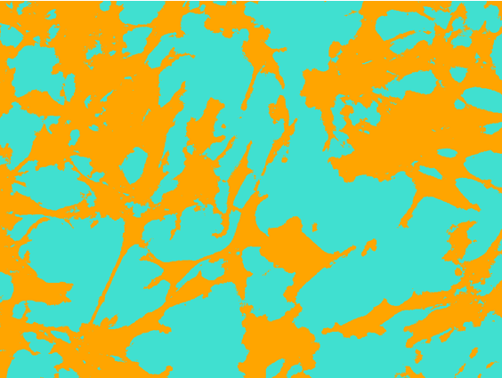 Two-color segmentation map of orange and teal regions filling the image