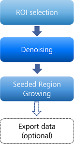 Vertical flowchart: ROI selection → Denoising → Seeded Region Growing → Export data (optional)