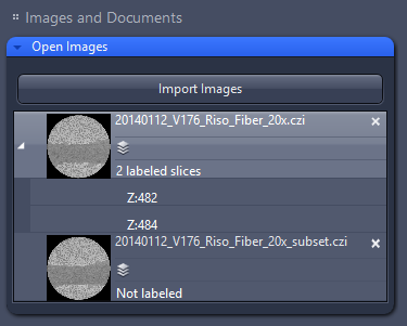 Images and Documents panel listing files 20140112_V176_Riso_Fiber_20x.czi and 20140112_V176_Riso_Fiber_20x_subset.czi