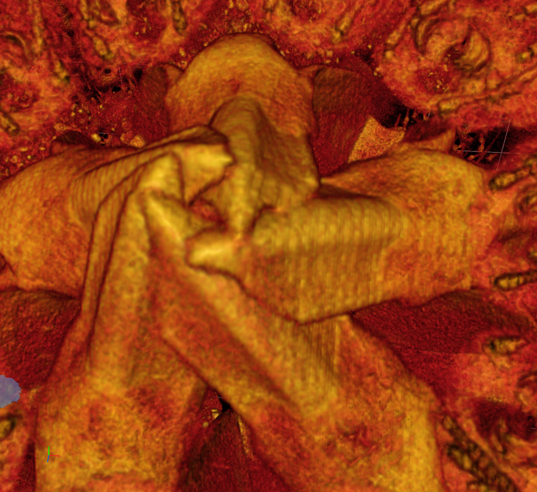 Orange and red textured folded shape with tubular forms on dark background