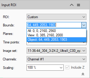 Input ROI dialog showing ROI: Custom and Bounds field '64, 449, 2053, 1903' with Channel #1 and Scaling 100%