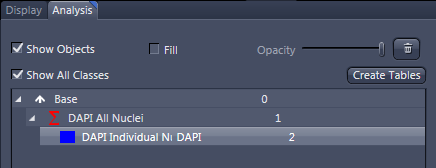 Analysis panel with 'Show Objects' checkbox, 'Fill' unchecked, and list showing DAPI All Nuclei 1 and DAPI Individual Nl DAPI 2