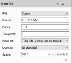 Input ROI dialog: ROI 'Custom', Bounds '0,0,512,512', Planes '1-13', Image set 'T099_Gfp+24hdox_mis.ims (default)'