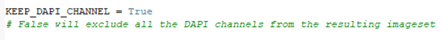 Code snippet showing KEEP_DAPI_CHANNEL = True and comment about excluding all the DAPI channels